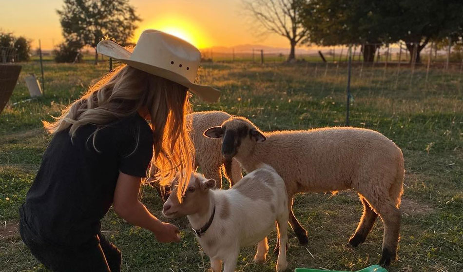 kids-on-the-farm-st-george-fisher-family-farm-summer-camp-southern-utah