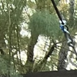 Riverhouseband.com