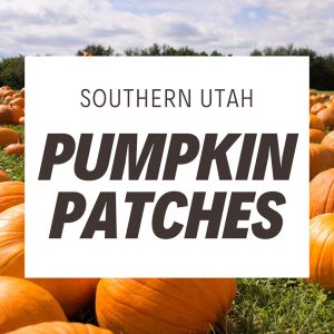 southern-utah-pumpkin-patches-animals-farms-st-george-cedar-city-halloween-things-to-do